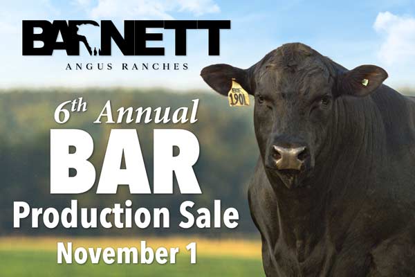 Fall Sale Artwork